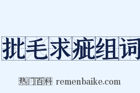 批毛求疵组词是什么意思的图片